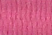 Rose Fushia